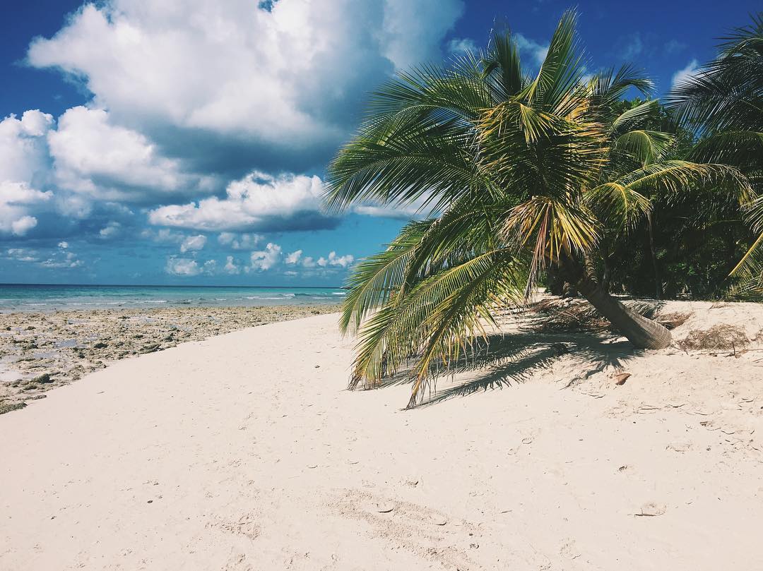 drill hall beach barbados