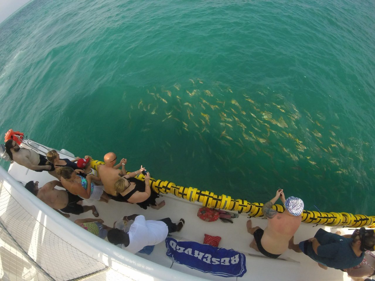 Feeding the fish, Marinarium, Punta Cana, Dominican Republic