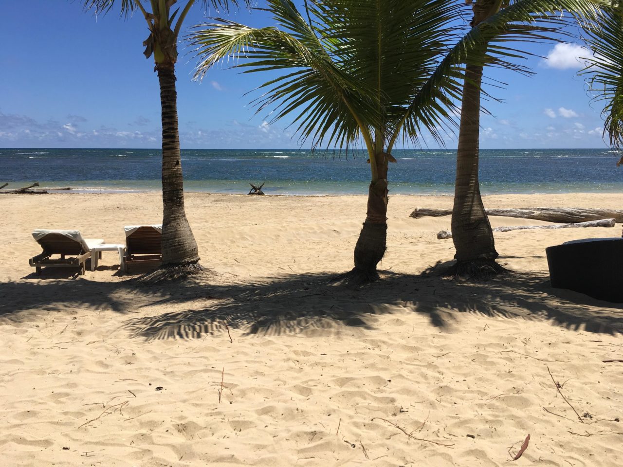 zoetry agua punta cana beach