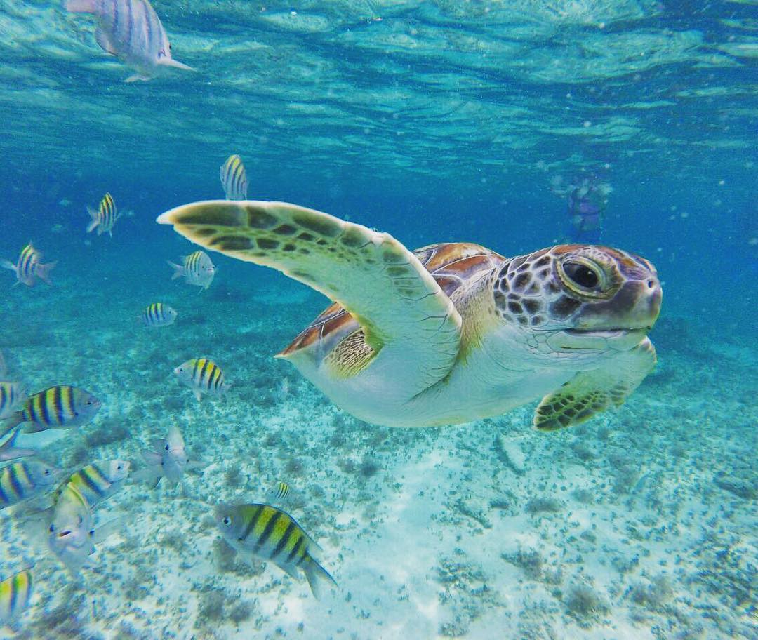 5 Reasons to escape the cold weather in Riviera Maya