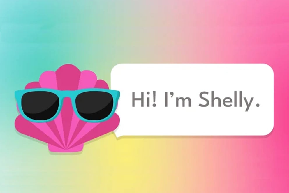 pink shell named shelly wearing sunglasses and rainbow background